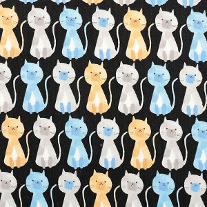 _wPICK^ Funky Town Cats u[h 50cmPʁbؔ ؂蔄 n z zn Rbg100 ˂ L lR Lbg 킢 ʉ敗 n  n  w Vw ʉ ʊw ObY j̎q 