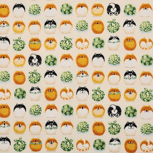 ߂񂱂a Č܂񂶂イ XPA 50cmPʁbؔ ؂蔄 n z zn Ck   ΂ VoCk R  \ XPA vg  n Rbg100 a a a ae