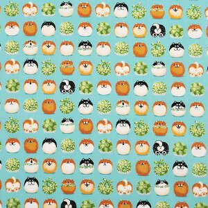 ߂񂱂a Č܂񂶂イ XPA 50cmPʁbؔ ؂蔄 n z zn Ck   ΂ VoCk R  \ XPA vg  n Rbg100 a a a ae