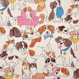 _tzf[ R[CPzfBG IbNX 50cmPʁbؔ ؂蔄 n z zn R   Ck ybg RCPzh RCP ʒn v Rbg100  킢