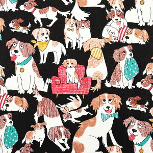 _tzf[ R[CPzfBG IbNX 50cmPʁbؔ ؂蔄 n z zn R   Ck ybg RCPzh RCP ʒn v Rbg100  킢