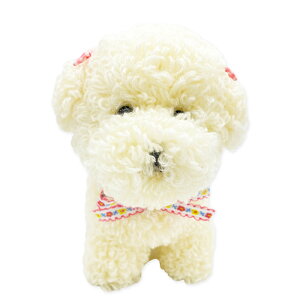 ݂݃Lbg v[hb݂ ҂݂ ݂    Lbg jbg ҂