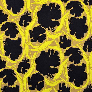 kippis g[ IbNX 50cm JbgNXbn z zn ͂ Jbgz JbgNX  킢 LbsX jJCl d ʒn v Rbg100 keCXg k 