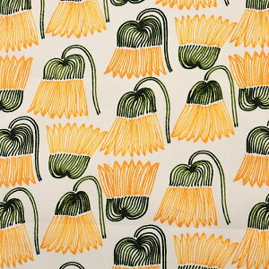 kippis ԒB̂₫ IbNX 50cm JbgNXbn z zn ͂ Jbgz JbgNX  킢 LbsX Xsi ԕ t[ ʒn v Rbg100 keCXg 