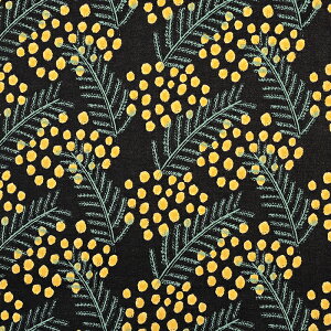 kippis ~U V[`O 50cm JbgNXbn z zn ͂ Jbgz JbgNX  킢 LbsX ԕ t[ ݂  n Rbg100 keCXg k k