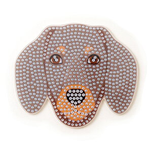 _ChtBbNX R[X^[Lbg  | r[YLoXA[g \t hイ CeA t[