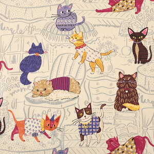 Powerful animal lR IbNX 50cmPʁbؔ ؂蔄 n z zn Rbg100 lR ˂ L jR ɂ Lbg  L ʒn v ptAj} 킢 n` g