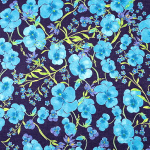 JԒd ԉ̂ԕ Defensive flowers-pansy [ 50cmPʁbؔ ؂蔄 n z zn t[vg {^jJ pW[ i  n  n JԒd Rbg1