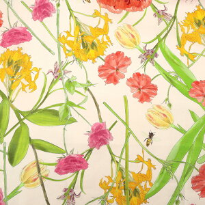 JԒd CNWFbg [ 50cmPʁbؔ ؂蔄 n z zn Rbg100 ԕ t[ t[vg {^jJ n  n JԒd i  啿 