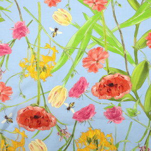 JԒd CNWFbg [ 50cmPʁbؔ ؂蔄 n z zn Rbg100 ԕ t[ t[vg {^jJ n  n JԒd i  啿 