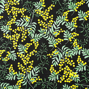 JԒd ԉ̂ԕ Defensive flowers-mimosa V[`O 50cmPʁbؔ ؂蔄 n z zn t[vg {^jJ ~U  n  n JԒd Rbg100