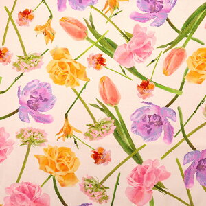 JԒd CNWFbg ȖLoX 50cmPʁbؔ ؂蔄 n z zn Rbgl ԕ t[ t[vg {^jJ ʒn v JԒd i  