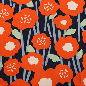 PICNIC t[CXg H IbNX 50cmP | ؔ ؂蔄 n z zn ϋv ɂ Rbg100 ͂H 킢 ԕ   n t[ t[v