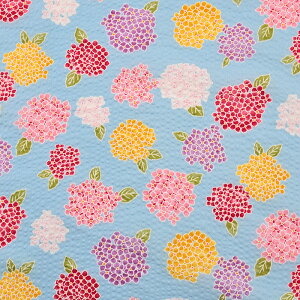  bv 50cmPʁbؔ ؂蔄 n z zn ԕ t[ z AWTC a a Jt N₩ 䂩  ׂ r ߃hX ̎q j̎q 킢 R