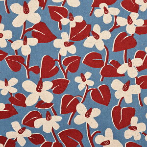 Harbs ȖLoX 50cmPʁbؔ ؂蔄 n z zn k keCXg k 킢  i` Jt ʒn v Rbgl n[uX A {^jJ