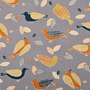 Birds ȖLoX 50cmPʁbؔ ؂蔄 n z zn k keCXg k  킢 i` ʒn v Rbgl o[h  Ƃ g  Ƃ