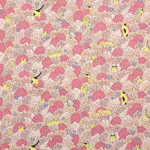 nora.24B ܂̓AL̖B V[`O 50cmPʁbؔ ؂蔄 n z zn Rbg100 NORA m  ̂ { i   n fW^vg ˂ L lR Lbg 