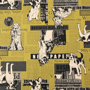 pƌ ȖLoX 50cmPʁbؔ ؂蔄 n z zn   Ck hbO   R Rbgl ʒn v 敗 f` p p  h[CO