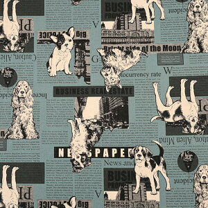 pƌ ȖLoX 50cmPʁbؔ ؂蔄 n z zn   Ck hbO   R Rbgl ʒn v 敗 f` p p  h[CO