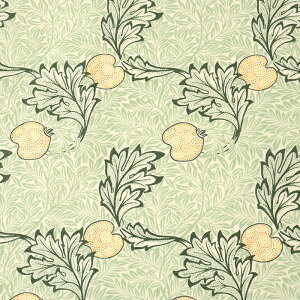 V&A Fabric Collection Apple V[`O 50cmPʁbؔ ؂蔄 n z zn Rbg100 EBAX ԕ t[ A  CMX  n n p h BNg