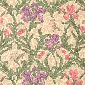 V&A Fabric Collection Iris V[`O 50cmPʁbؔ ؂蔄 n z zn Rbg100 EBAX ԕ t[ A  CMX  n n p h BNg