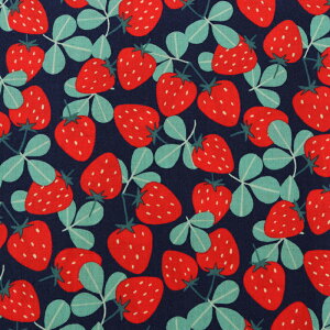 Strawberry Party! XPA 50cmP | ؔ ؂蔄 n z zn Rbg100 SEVENBERRY Zux[  C`S  ʕ t[c  n 킢  w ʉ ʊw ObY Xg