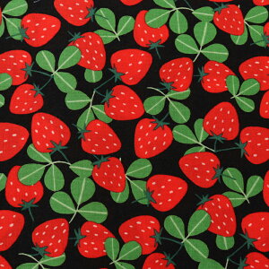 Strawberry Party! XPA 50cmP | ؔ ؂蔄 n z zn Rbg100 SEVENBERRY Zux[  C`S  ʕ t[c  n 킢  w ʉ ʊw ObY Xg