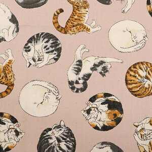 Aj}vg lR IbNX 50cmP | ؔ ؂蔄 n z zn Rbg100 Aj}  킢 |[Y L A ʒn v ˂ Lbg ɂ jR OєL