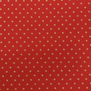 _20NՁ^ NX}Xvg  XPA 50cmP | ؔ ؂蔄 n z zn fBXv[ fBXvC  bsO pb`[N Rbg100  n  X^[ 