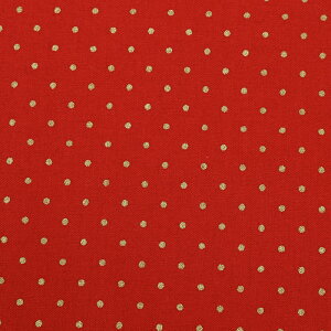 _20NՁ^ NX}Xvg  XPA 50cmP | ؔ ؂蔄 n z zn fBXv[ fBXvC  bsO pb`[N Rbg100  n ʕ hbg