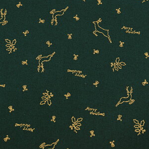 _20NՁ^ NX}Xvg giJC XPA 50cmP | ؔ ؂蔄 n z zn fBXv[ fBXvC  bsO pb`[N Rbg100  n ƂȂ 