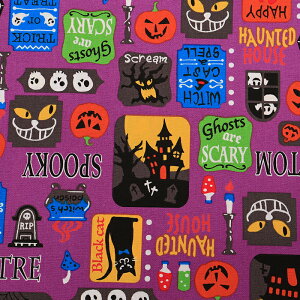 nEBvg2 ΂~ XPA 50cmP | ؔ ؂蔄 n z zn Rbg100 nEB[ IW p[v ubN 킢 J{`  n ~ ΂ K