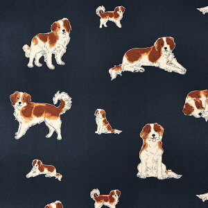 Aj}IbNX DOG 50cmP | ؔ ؂蔄 n z zn RCP R[CPzfBG Rbg100 ybg Aj}  ʒn v  Ck  hbO   