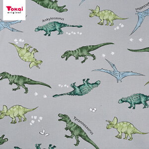 䋰 n IbNX 1m JbgNX | n z zn ͂ Jbgz Rbg100  傤イ _Ci\[ WVbN ̑  w Vw ObY 