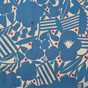 kippis K[fp[eB[ IbNX 50cm JbgNX | n z zn ͂ Jbgz Rbg100 keCXg k k v[^nt ʒn v  킢 LbsX 