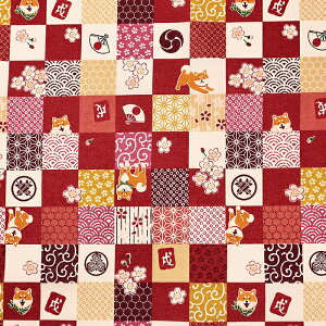 U Čiq V[`O 50cm JbgNX | n z zn ͂ Jbgz Rbg100   Ck  hbO  񂿂 a  n a a iq `Fb