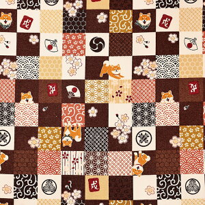 U Čiq V[`O 50cm JbgNX | n z zn ͂ Jbgz Rbg100   Ck  hbO  񂿂 a  n a a iq `Fb