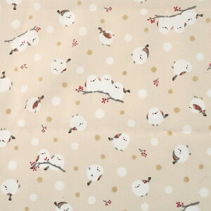 V}GiK } V[`O 50cm JbgNX | n z zn ͂ Jbgz Rbg100 o[h   쒹 ̗d ӂӂ 킢  n  w ʉ ʊw ObY ܂