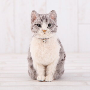 n}iJ j[htFgłAуLbg LWg Tog L lR ˂ | ArуtFg AуXg[g n}iJ tFgr rуtFg r ޗ A Xg[g ܂