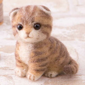 n}iJ AN[kł {mq搶̂킢V[Y