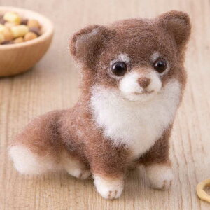 n}iJ AN[kł {mq搶̂킢V[Y