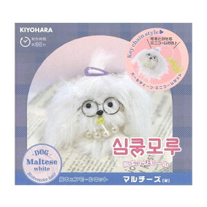 _20NՁ^ KIYOHARA L[Lbg |   ʂ ʂ ʂ h[  nhCh 킢 ȒP |[Y l`  Aj ؍eCXg ؍