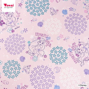 fBYj[ AG IbNX 50cmP | ؔ ؂蔄 n z zn Rbg100 Disney g}[Ch fBYj[vZX l LN^[ ʒn v  w ObY Vw 