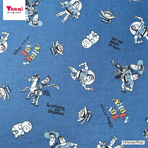 fBYj[ sNT[ gCEXg[[ fj TCcC 50cmP | ؔ ؂蔄 n z zn ȃ| T/CcC cCn LN^[  fjCN CNfj ʒn 