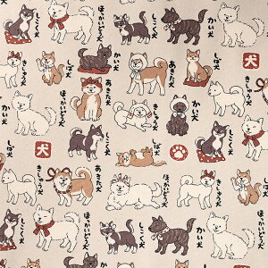 {} n IbNX 50cmP | ؔ ؂蔄 n z zn Rbg100   Ck hbO  R 񂿂   ʒn v a 킢 a a 