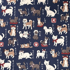 {} n IbNX 50cmP | ؔ ؂蔄 n z zn Rbg100   Ck hbO  R 񂿂   ʒn v a 킢 a a 