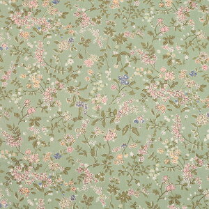 Rbg΂₵ ԕ KTS7068 u[h 50cmP | ؔ ؂蔄 n z zn Rbg100 ԕ t[ t[vg l ̎q EGA  n n 킢 A  