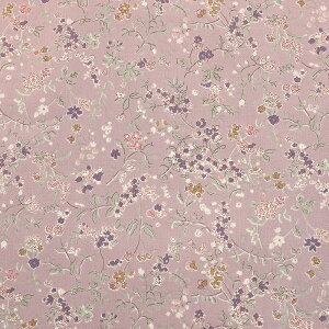 Rbg΂₵ ԕ KTS7068 u[h 50cmP | ؔ ؂蔄 n z zn Rbg100 ԕ t[ t[vg l ̎q EGA  n n 킢 A  