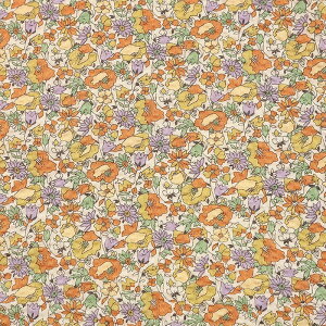 Rbg΂₵ ԕ bv 50cmP | ؔ ؂蔄 n z zn Rbg100 ԕ t[ t[vg A  {^jJ 䂩  ׂ r ߃h