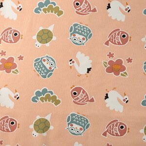 JAPANՂ ߂ł V[`O 50cmP | ؔ ؂蔄 n z zn Rbg100 a a a { Wp   ӂ낤     n N 킢  w 